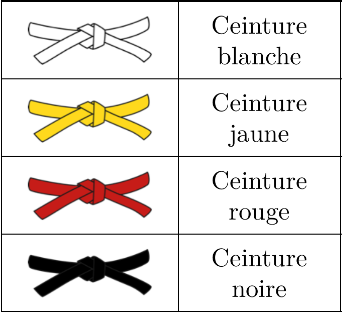 ceintures.png